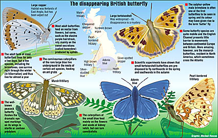Map and drawings of butterfly habitats in UK
