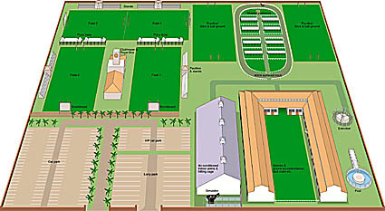 3D plan of sports ground